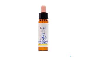 Healing Herbs 19 Larch 10ml, A-Nr.: 2186322 - 01